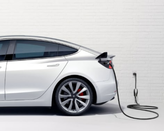 Tesla Charger Mobile Connector 2.3kW (UAE/Type2)