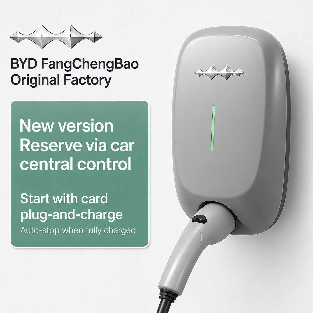 BYD Wall Charger 7kW (China / GBT)