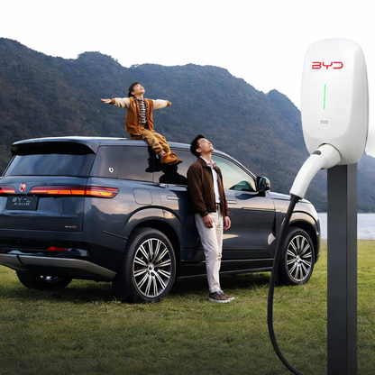 BYD Wall Charger 7kW (China / GBT)